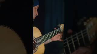 Introspection meditative guitar Estas Tonne [upl. by Llereg]