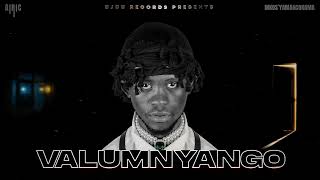 Airic x Inkosyamagcokama  Valumnyango Official Audio Visualizer [upl. by Brooks]