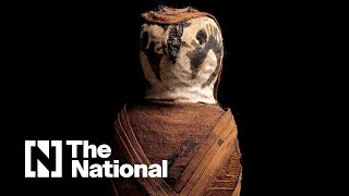 Mummified falcon from ancient Egypt to fetch more than Dh300000 at Abu Dhabi Art [upl. by Cornia]