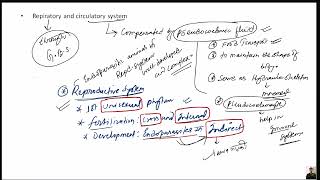 Phylum Nematyhelminthes for CEE IOMNEET BY KAMAL NEPAL SIR [upl. by Ly9]