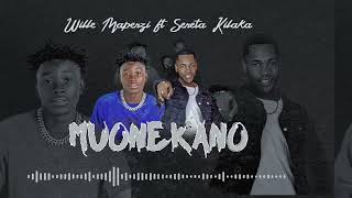 Wille Mapenzi ft Seneta KilakaMuonekanoOfficialAudio [upl. by Haimaj]