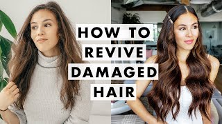 How to Fix Damaged Hair [upl. by Littell]