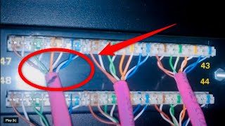 Cat5e jacket trimming pro tip [upl. by Mayhs836]