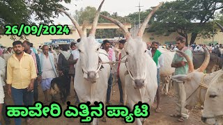 ಹಾವೇರಿ ಎತ್ತಿನ ಪ್ಯಾಟಿ  Haveri Bulls Market  ಪ್ರತಿ ಗುರುವಾರ ಬೆಳಿಗ್ಗೆ  kdmchannelkannada [upl. by Cristen]