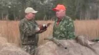 SE Georgia Continental Pheasant Shoot at Dorchester Shooting Preserve [upl. by Horvitz]