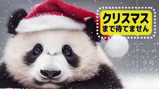 旭川お散歩配信🐼🎥 [upl. by Nomihs]