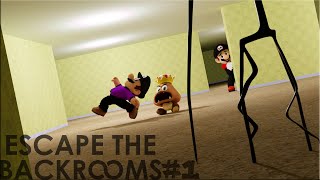 LES PIRES PERSONNES DANS LES BACKROOMS 1 FT SuperDarkMario64 Adly et Blup [upl. by Arrej]