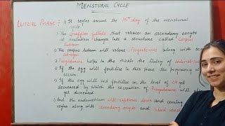 LUTEAL PHASE MENSTURAL CYCLE HUMAN REPRODUCTION CLASS 12 [upl. by Anavas]