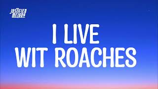 I Live With Roaches  Tiktok Song Lyrics [upl. by Akissej882]