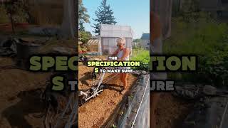 Seeding cilantro 🌿  diy seeding growfood organicvegetables seeds farmtips [upl. by Starbuck]