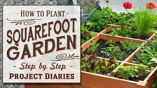 ★ How to Plant Square Foot Gardening A Complete Step by Step Guide [upl. by Lenrow]