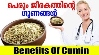 പെരും ജീരകത്തിന്റെ ഗുണങ്ങൾ  Benefits Of Cumin  Perum Jeerakam  Malayalam Tasty World [upl. by Rhoads]