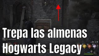 Trepa las almenas  Hogwarts Legacy [upl. by Ellenet438]