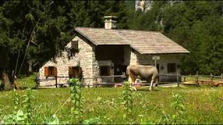 parco dolomiti friulane [upl. by Ninetta]