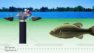 Part 2 Cyanobacteria BlueGreen Algae Control Mechanisms for Lakes amp Source Water Reservoirs [upl. by Kostman984]