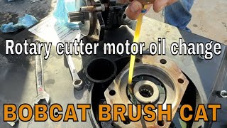 The Worst Oil Change Ive Ever Done Bobcat Brush Cat [upl. by Sldney]