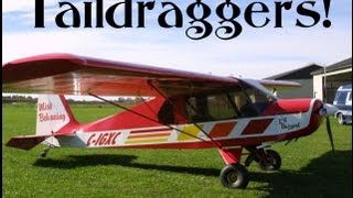 Taildraggers  light sport aircraft taildraggers [upl. by Aivlys]