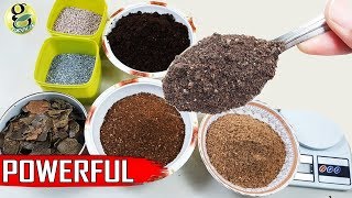 Best DIY Fertilizer Mix Recipe Universal Allpurpose Mixed Fertilizer Powder [upl. by Ahseekan]