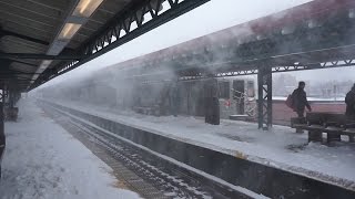 ᴴᴰ Blizzard of January 2016 R68 D train action at 62 street [upl. by Vinson174]