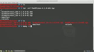 Tutorial Understanding GlobalProtect for Linux [upl. by Atirrehs]