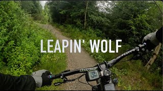 Laggan Wolftrax  Leapin Wolf [upl. by Ethelyn816]