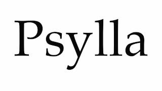 How to Pronounce Psylla [upl. by Llatsyrk]