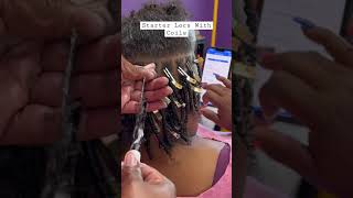 Starter Locs with coils locs explore exploremore hair coils naturalhair starterlocs dreads [upl. by Emelen723]