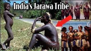 Tribes of Andaman  Jarawa Sentinelese Onge Tribe  Part 1  Dark Ride [upl. by Jensen]