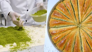 Best Turkish Dessert Baklava How to make baklava Turkish street food Baklava Recipe [upl. by Jerry]