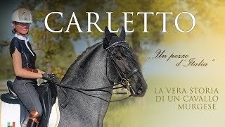 LA STORIA DI CARLETTO  La Vera Storia di un Cavallo Murgese [upl. by Lledor]