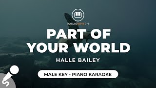 Part Of Your World  Halle Bailey Male Key  Piano Karaoke [upl. by Kutzer380]