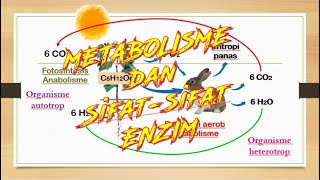 Metabolisme dan Sifatsifat Enzim [upl. by Norrahs]