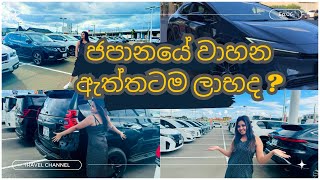 Car Prices in Japan🚗🇯🇵ජපානයේ අඩුවට වාහනයක් ගන්නේ කොහොමදSinhala Vlog 🇱🇰 [upl. by Anoirtac]