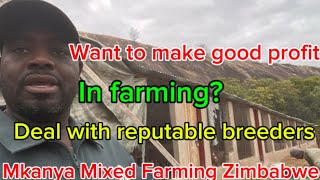 HOW I STARTED MY FARMING JOURNEY IN ZIMBABWE Part 14 [upl. by Tirzah]