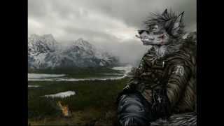 Furry  Unknown Soldier Breaking Benjamin [upl. by Paza]