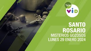 Santo Rosario de hoy Lunes 29 Enero de 2024 📿 Misterios Gozosos TeleVID SantoRosario [upl. by Garibold113]