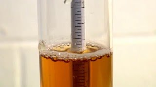 How to Use a Hydrometer for Homebrewing [upl. by Baiel738]