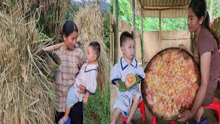 Harvest rice with orphans and make delicious sticky rice to sell at the market to earn extra income [upl. by Adaran]