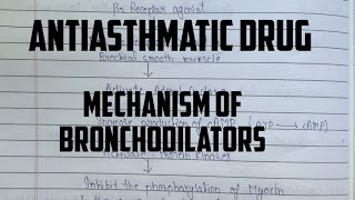 Mechanism of action for Bronchodilator  Beta 2 Agonist Anticholinergic agents  Methylxanthine [upl. by Alemap]