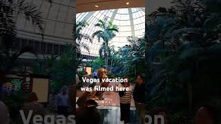 the movie Vegas Vacation was filmed at the Mirage hotel casino [upl. by Auqenat]