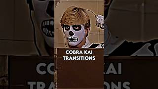 Cobra Kai transitions cobrakai nflopa funny [upl. by Aciemaj]