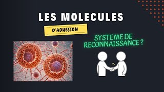 Les molécules ď adhésion cellulaire [upl. by Kcirb]