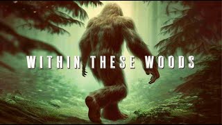 “Within These Woods”  2024 Bigfoot Video Cinematic Sasquatch Presentation [upl. by Bendix]