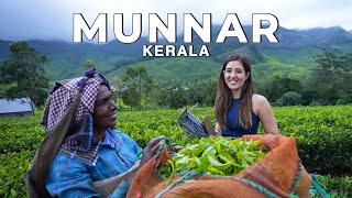 Munnar Suryanelli Kerala in the Monsoon The best vlog Ive ever made  WeekendTrips India [upl. by Ycnan]