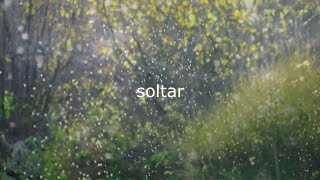 Soltar  Bogard Lyric Video [upl. by Liahkim]