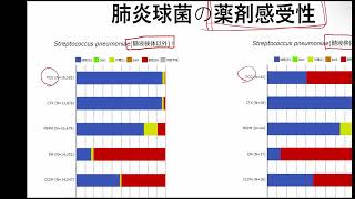 肺炎球菌、PRSP、ムコイド型、血清型（莢膜型） [upl. by Anevad92]