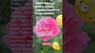 Через сколько дней у знаков Зодиака начнётся белая полоса Им будет помогать Вселенная 6368 Знаки [upl. by Nilved]