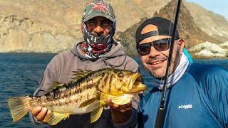 Fishing on Cedros Island  yellowtail and calico bass  cedros sportfishing with toro [upl. by Gitel]