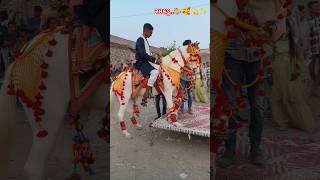 Lagan mate book karo Ramakdu horse official horse love sorts shorts video vlog viralvideo [upl. by Salis]