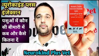 Nurokind Plus Vet Injection का उपयोग पशुओं में कौन सी बीमारी में कब और कैसे करें [upl. by Veats]